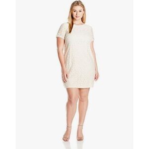 Adrianna Papell Size 16 Short Sleeve Lace Shift